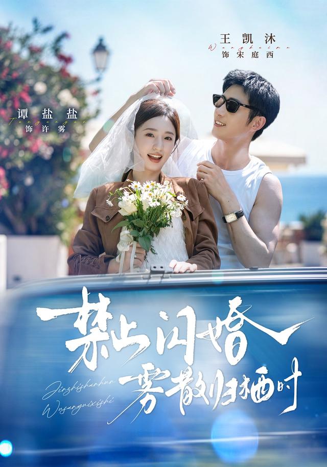禁止闪婚，雾散归栖时海报